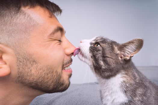 Cute cat licking or kissing owner's nose. Pets and humans friendship, love and trust concept. High quality photo