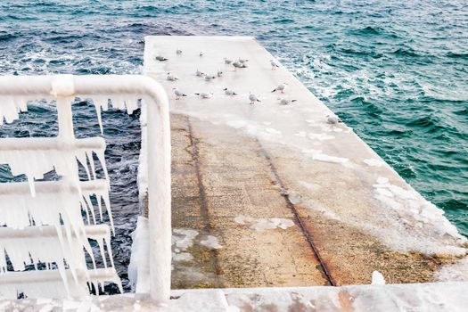 Winter landscape with concrete pier covered with ice with sea birds