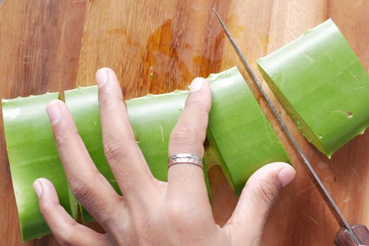 Close-up Fresh Aloe vera sliced on a chopping board.