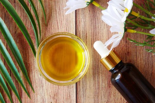 eucalyptus essential oils in a glass bottle and flower on table .