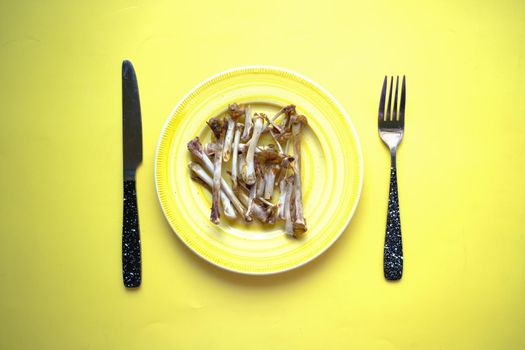 top view of plate after eating on yellow background .