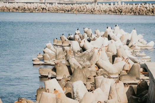 The seashore is reinforced with concrete tetrapods. Protection of the shore from blurring. Sea waves. Concrete tetrapod breakwaters lie all along the coast.