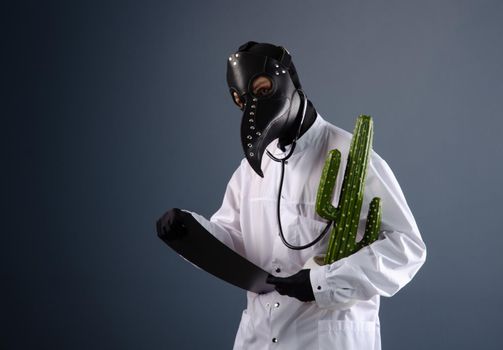 doctor in a dressing gown, wearing a plague doctor mask with a cactus in his hands