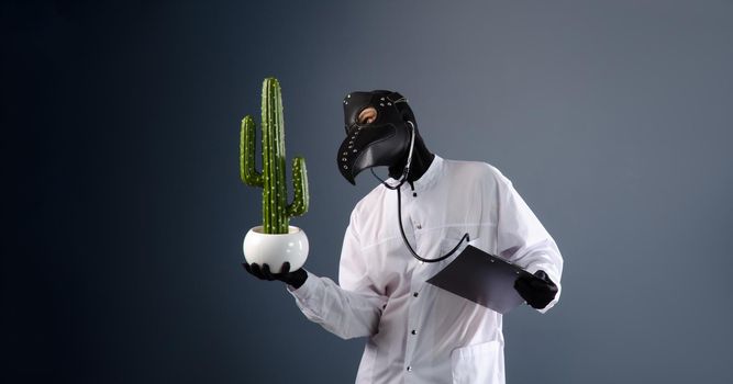 doctor in a dressing gown, wearing a plague doctor mask with a cactus in his hands