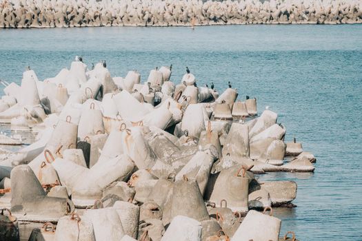 The seashore is reinforced with concrete tetrapods. Protection of the shore from blurring. Sea waves. Concrete tetrapod breakwaters lie all along the coast.