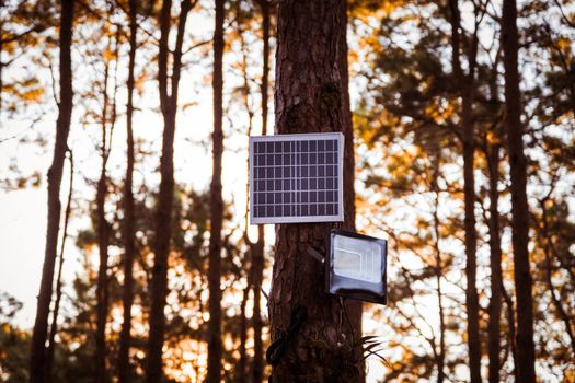 Electric light solar panel plate with LED lamp at the national park, Thailand.