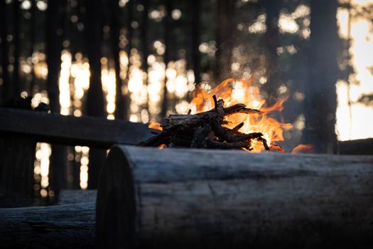 Bonfire with sparks in the forest at the night.