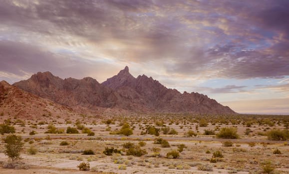 Beautiful panoramic desert landscape wilderness, near Phoenix Arizona in US