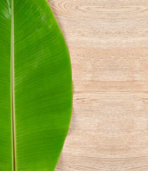 Blank wooden background with banana green leaves for your text or message.