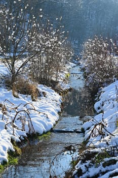 Beautiful snowy landscape. Winter nature - seasonal concept.