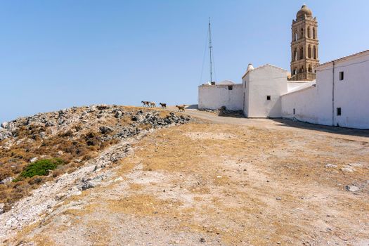 Mountain goats on a rocky landscape near Agia Moni monastery in Kythira island at Greece.