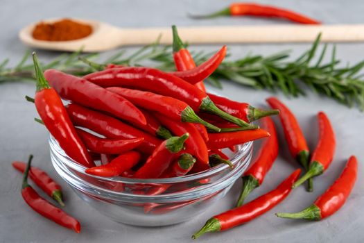 Red hot pepper pods in glass bowl, rosemary and spices in wooden spoon on gray surface with plaster texture. Healthy and wholesome food, food preparation. Selective focus.