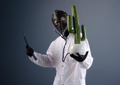 doctor in a dressing gown, wearing a plague doctor mask with a cactus in his hands