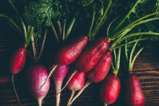 Homegrown fresh red radish on wooden table