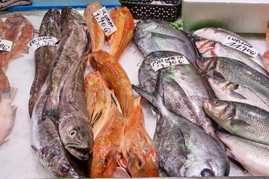 Fresh fish for sale at a market in Spain