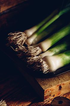 Fresh green leek on rustic metal tray