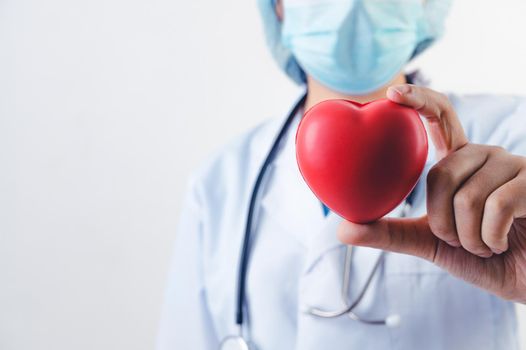 Closeup of red heart in doctor hand with stethoscope on white background. Medical people and cardio practitioner concept. Heart donation and life rescue health care theme.