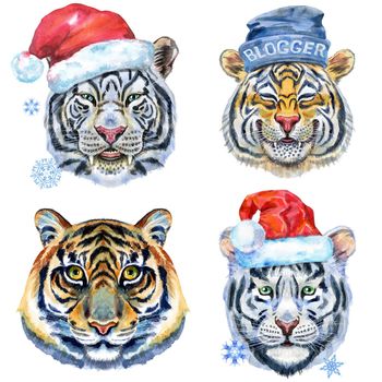 Watercolor illustration of tigers in Santa hat and blogger hat