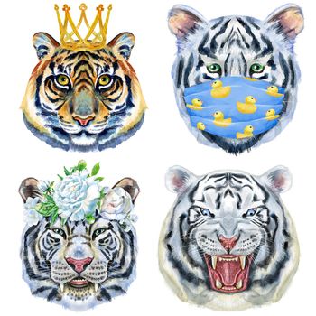 Watercolor illustration of tigers in medical mask, golden crown and summer wreath