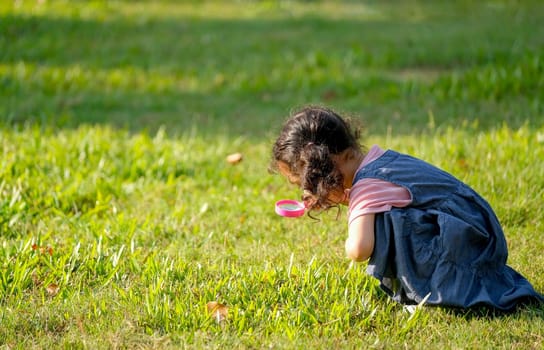 Little girl enjoy with using magnifier glass to look for something inside grasses in green garden with morning light.