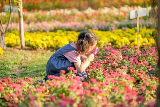 Little Asian girl use pink magnifying glass to search for interesting things in  flower shrubs and she look enjoy this activity.