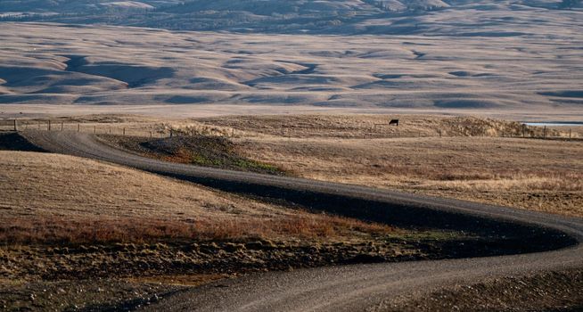 Scenic views of the Cypress Hills Saskatchewan Alberta