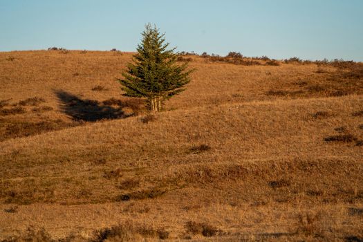 Scenic views of the Cypress Hills Saskatchewan Alberta
