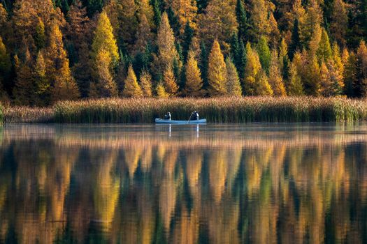 Prairie colors in fall yellow orange trees canoe calm