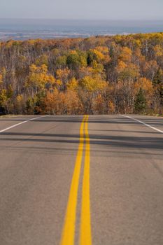 Prairie colors in fall yellow orange trees colorful