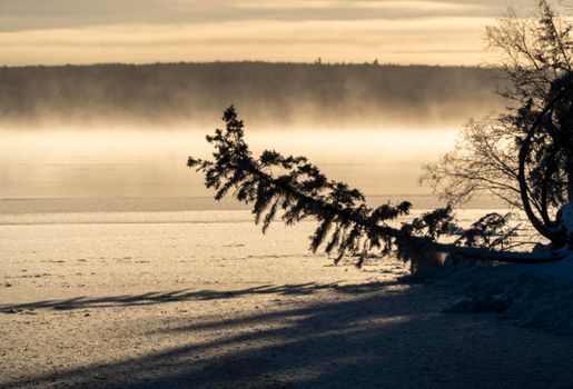 Scenic Prince Albert National Park Canada sunrise light