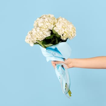 Hand holds a bouquet of beautiful tender white hydrangea on light blue background. Flowers as a gift for teacher's day, mother's day, international women's day or Valentine's day.