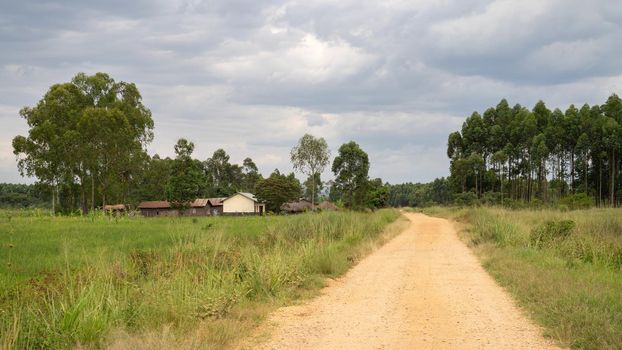 Typical African village, Uganda, East Africa