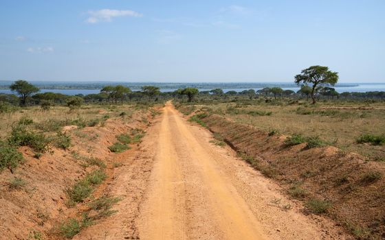 Dirt road through the landscape of Murchison Falls National Park, Uganda