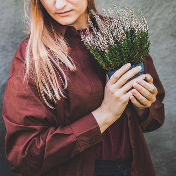 White woman holding a pot with white heather in her hands. Home gardening, house decoration with seasonal fall plants.