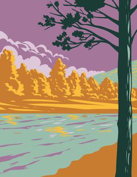 Bellinger River National Park with Bellinger River and Unspoilt Forest in Darkwood New South Wales Australia WPA Poster Art
