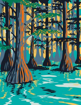 WPA poster art of Caddo Lake State Park with bald cypress trees on lake and bayou in Harrison and Marion County East Texas, United States of America USA done in works project administration style.
