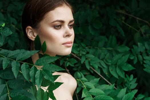 attractive woman green leaves clean skin nature summer close-up. High quality photo