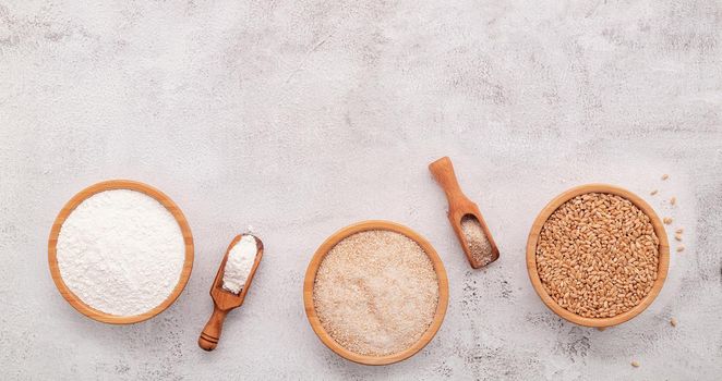 Wheat grains , brown wheat flour and white wheat flour in wooden bowl set up on white concrete background.