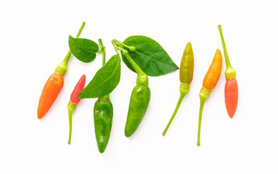 Fresh Thai bird's eye chillies isolated on white background.