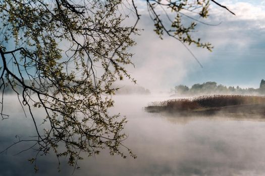 Foggy Morning on the river. River and river bank in fog.