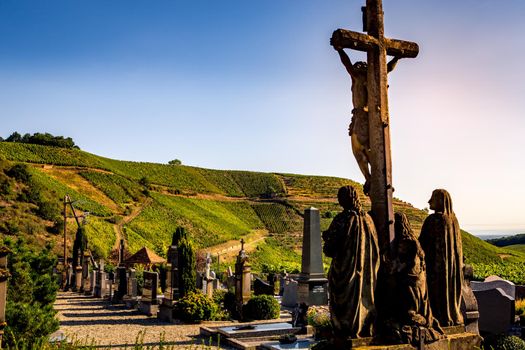 Vineyards on the wine road, Kaysersberg, Alsace, France