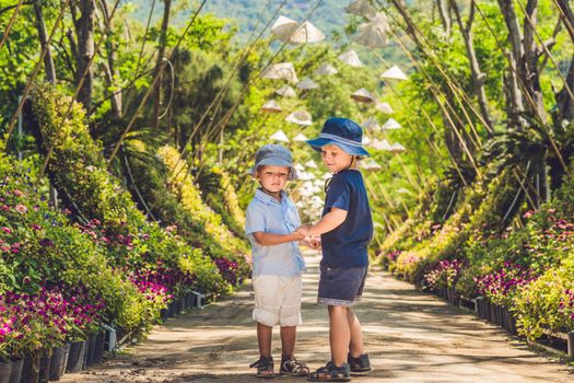 Two boys, a traveler in Vietnam, against the backdrop of Vietnamese hats. Traveling with children concept