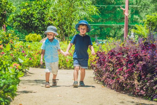 Two happy brothers running together on a park path in a tropical park.