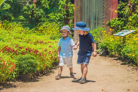 Two happy brothers running together on a park path in a tropical park.