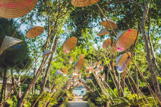 The traditional hats of Vietnam's woman. The most popular of Vietnam's woman.