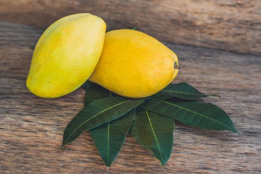 Mango and mango leaves on an old wooden background.