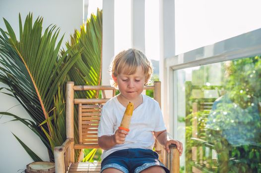 Cute little blond boy eating a homemade icecream made of a mango, banana and passion fruit sitting on a wooden chair at a terrace