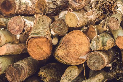 Closeup of logs of trees in nature, pile of wood logs ready for winter in the forest, firewood as a renewable energy source waiting to be transported.