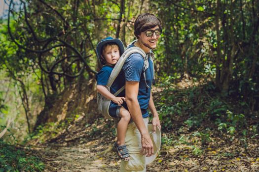 The father carries his son in a baby carrying is hiking in the forest. Tourist is carrying a child on his back in the nature of Vietnam.