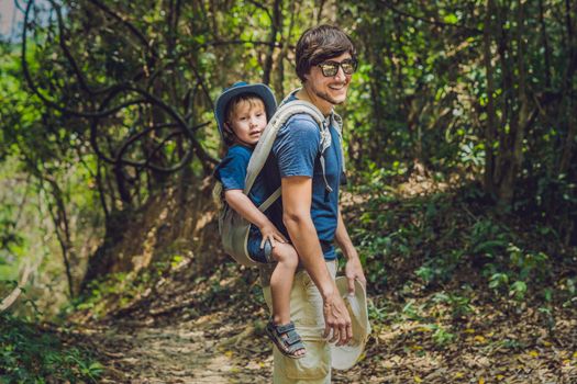 The father carries his son in a baby carrying is hiking in the forest. Tourist is carrying a child on his back in the nature of Vietnam.